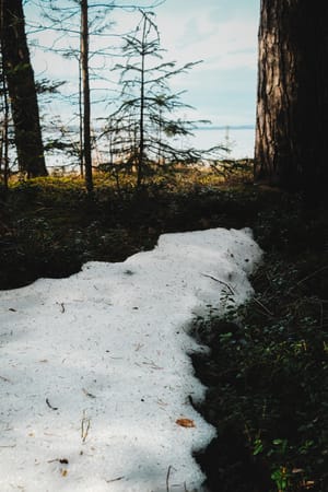 Dag 102